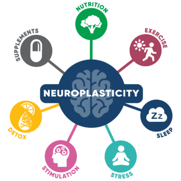 Neuroplasticity diagram of the Bredesen Seven: Nutrition, Exercise, Sleep, Stress, Stimulation, Detox, and Supplements